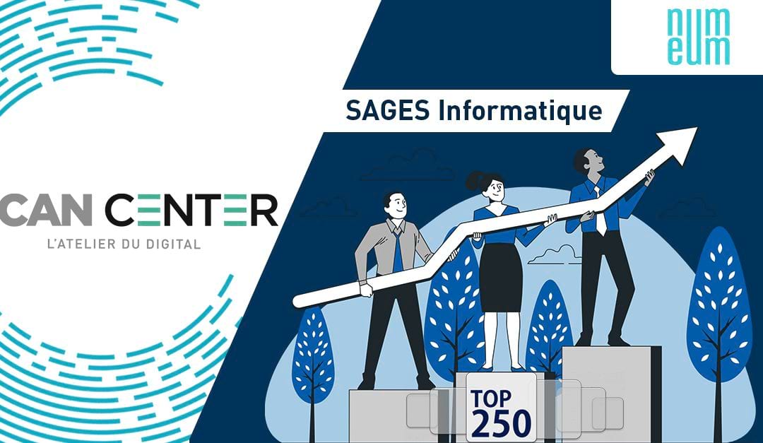 Top 250 des éditeurs de logiciels : Sages Informatique progresse encore !